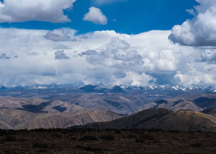 成都航空港租商务车，我踩过的*和挖到的宝，全在这篇了-第2张图片-成都租车公司